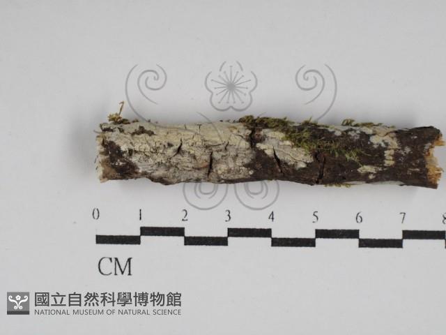 登錄號:F0030133藏品圖，第3張