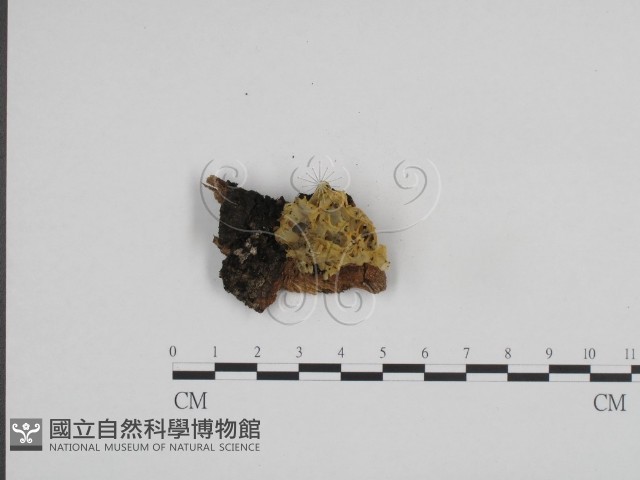 登錄號:F0024133藏品圖，第1張