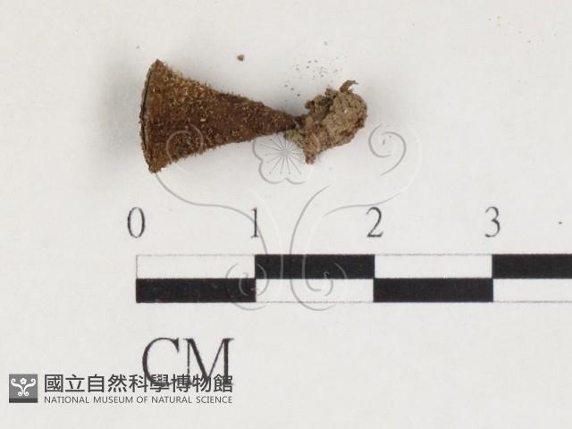 登錄號:F0027133藏品圖，第1張