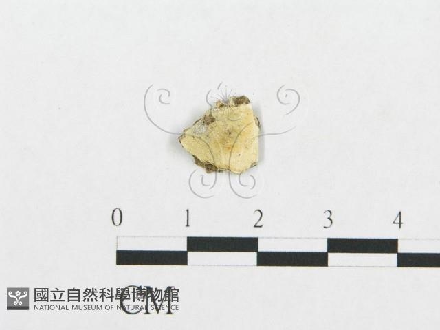 登錄號:F0007133藏品圖，第1張