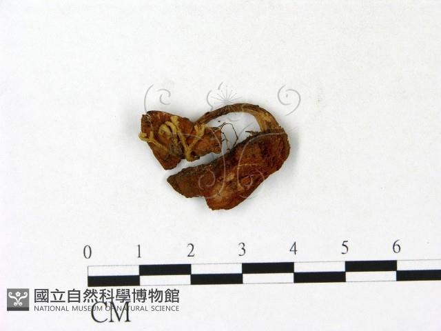 登錄號:F0023133藏品圖，第1張