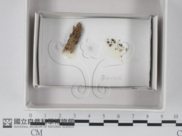 登錄號:F0018033藏品圖，第1張