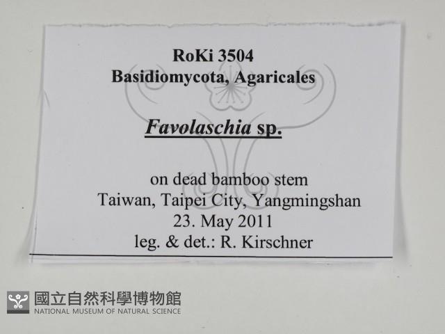 登錄號:F0031033藏品圖，第3張