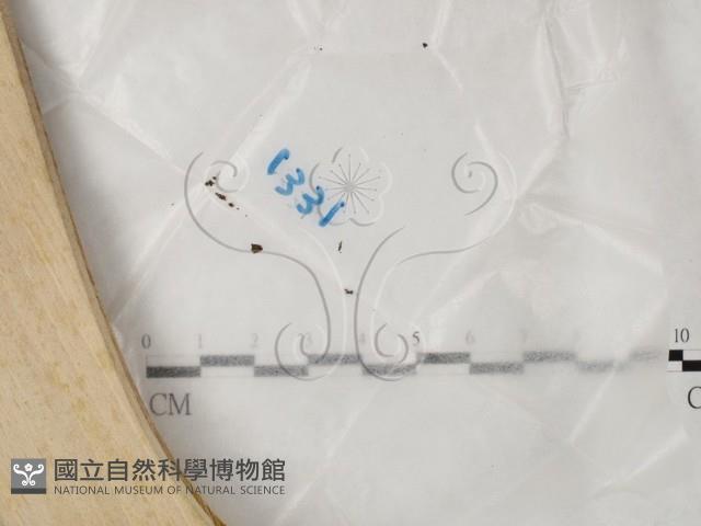 登錄號:F0024033藏品圖，第1張