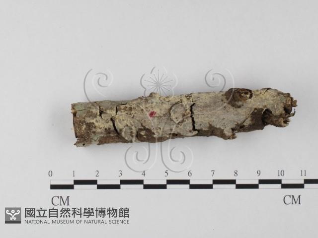 Accession Number:F0004033 Collection Image, Figure 1, Total 3 Figures