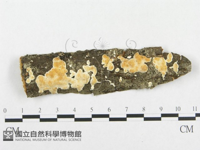 登錄號:F0014033藏品圖，第1張