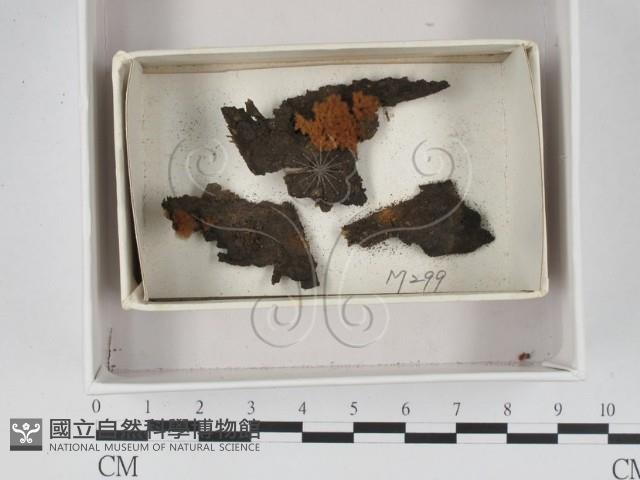 登錄號:F0018333藏品圖，第1張