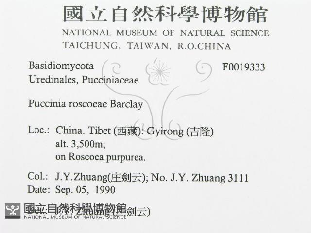 登錄號:F0019333藏品圖，第3張