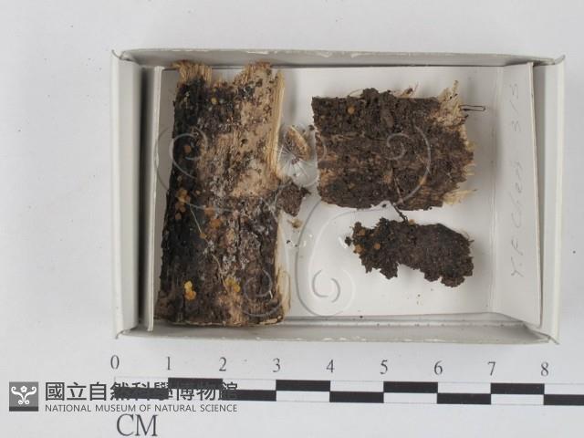 登錄號:F0018273藏品圖，第1張
