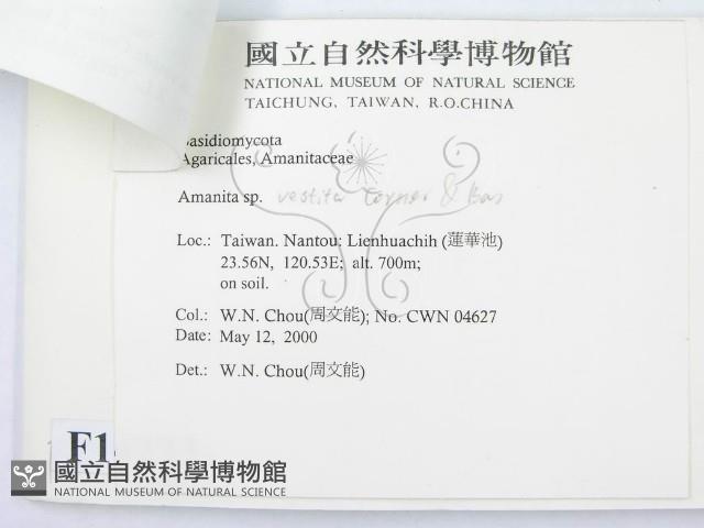 登錄號:F0014273藏品圖，第3張