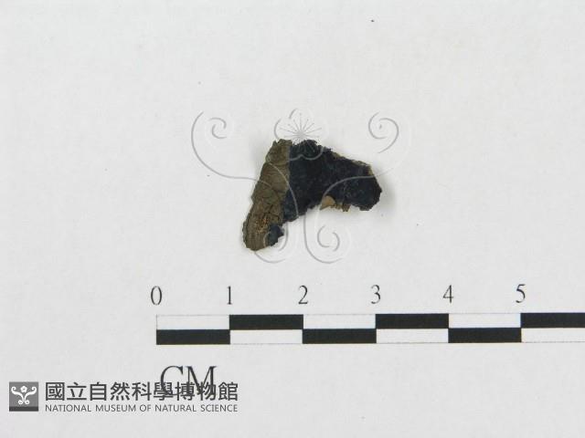 登錄號:F0007273藏品圖，第1張