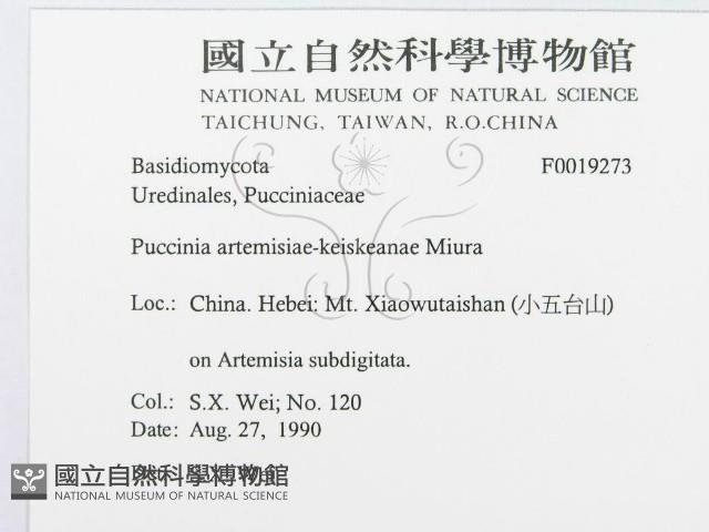 登錄號:F0019273藏品圖，第3張