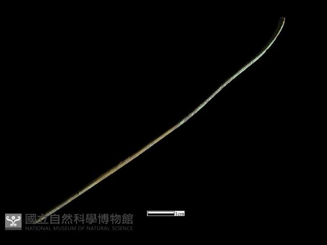 髮簪藏品圖，第2張