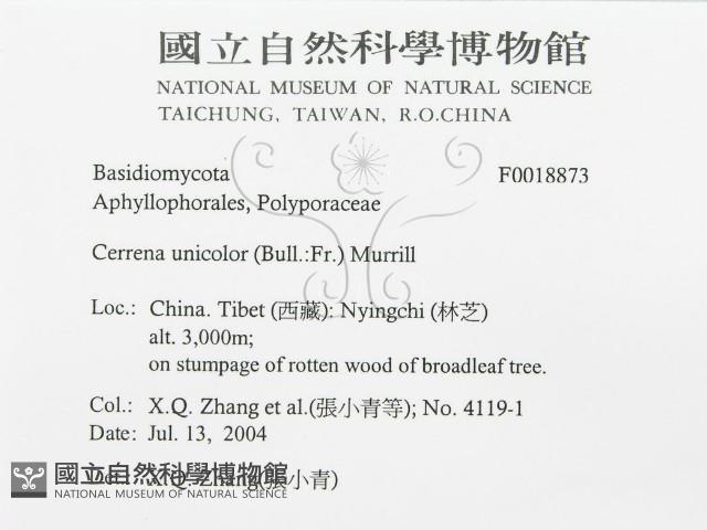 登錄號:F0018873藏品圖，第3張