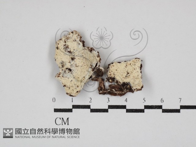 登錄號:F0030873藏品圖，第1張