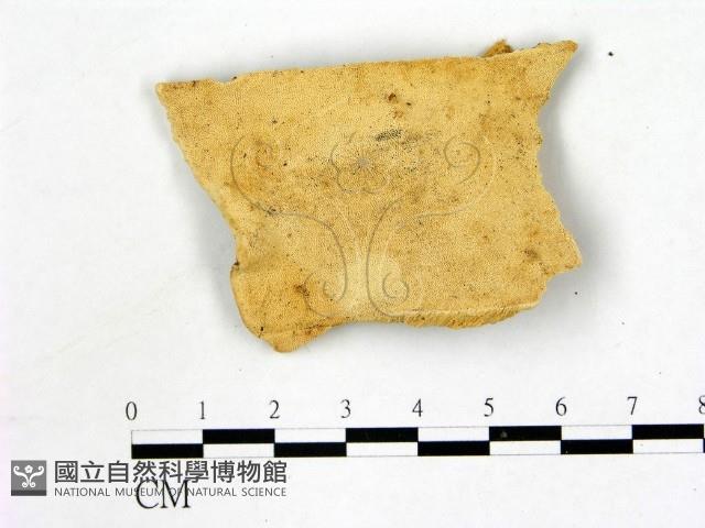 登錄號:F0006873藏品圖，第1張