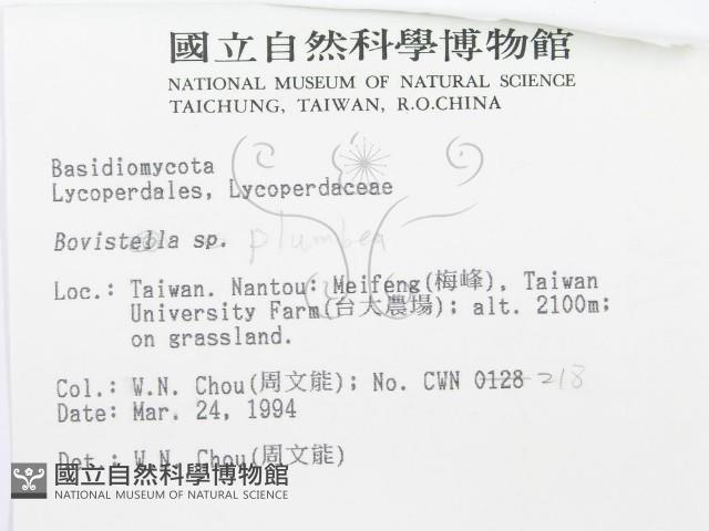 登錄號:F0001873藏品圖，第3張