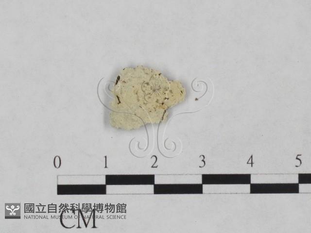 登錄號:F0024873藏品圖，第1張
