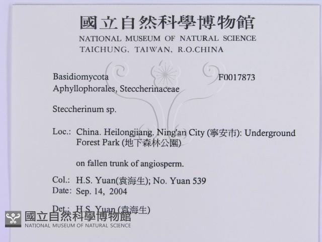 登錄號:F0017873藏品圖，第3張