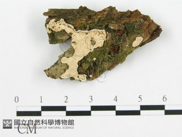 登錄號:F0003873藏品圖，第1張