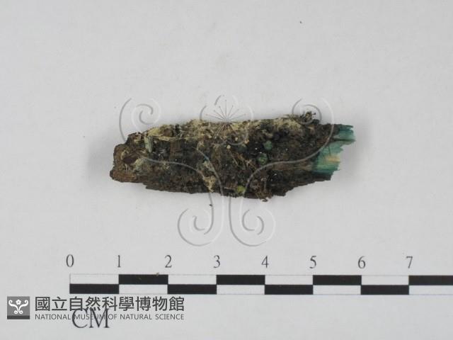 登錄號:F0016973藏品圖，第1張