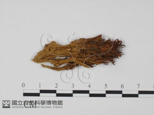 Accession Number:F0011973 Collection Image, Figure 1, Total 3 Figures