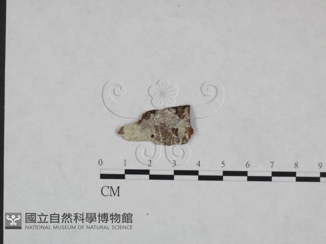 登錄號:F0008673藏品圖，第1張