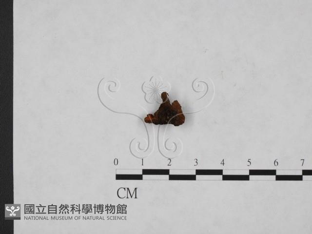 登錄號:F0000673藏品圖，第1張