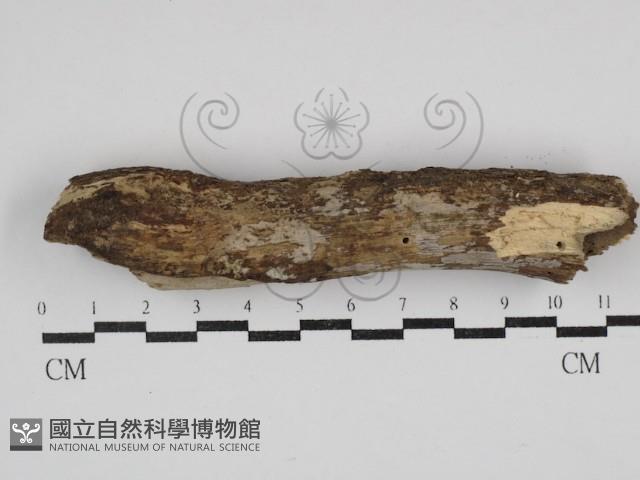 登錄號:F0030673藏品圖，第1張