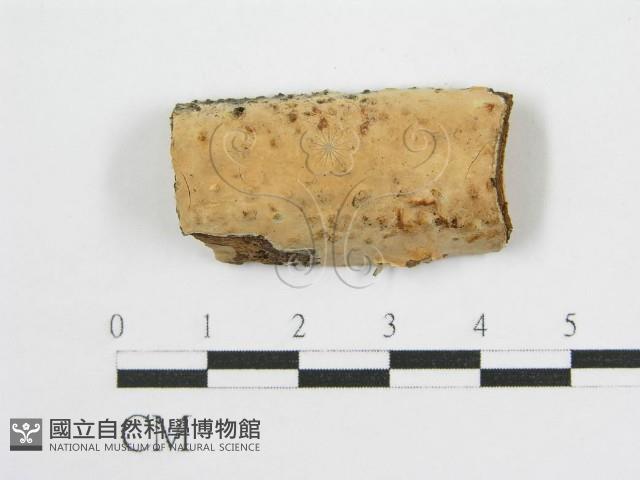 登錄號:F0016673藏品圖，第1張