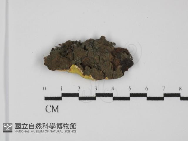 登錄號:F0031673藏品圖，第1張