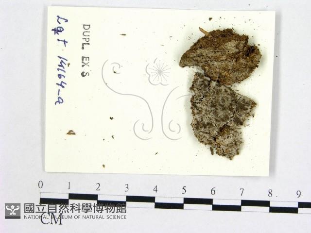 登錄號:F0004673藏品圖，第1張