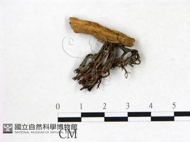 登錄號:F0022673藏品圖，第1張