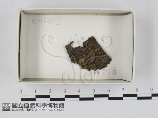 登錄號:F0018473藏品圖，第1張