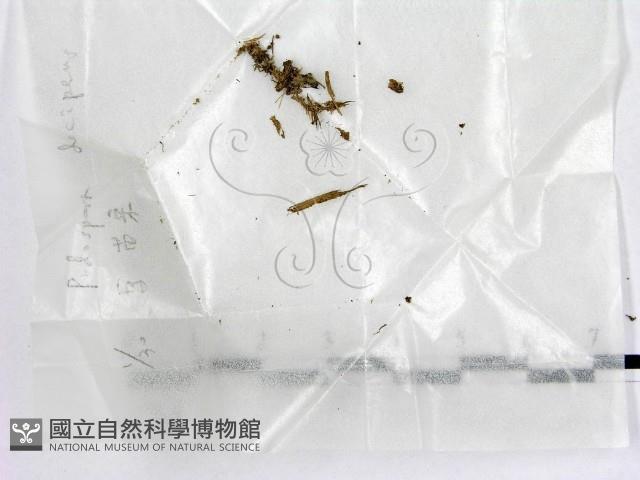 登錄號:F0004473藏品圖，第1張