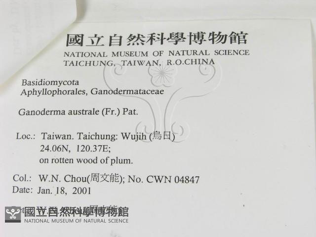 登錄號:F0014473藏品圖，第3張