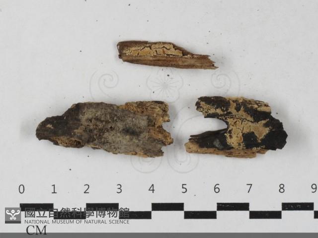 登錄號:F0033473藏品圖，第1張