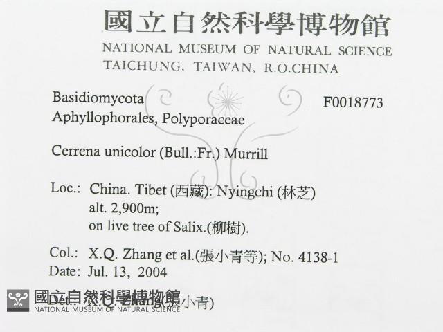 登錄號:F0018773藏品圖，第3張