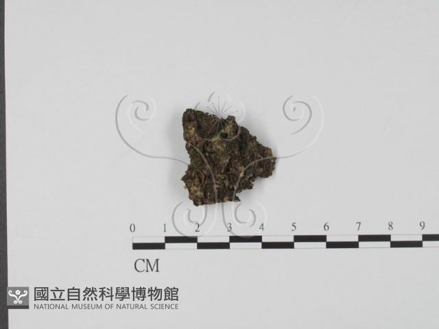 登錄號:F0020773藏品圖，第1張