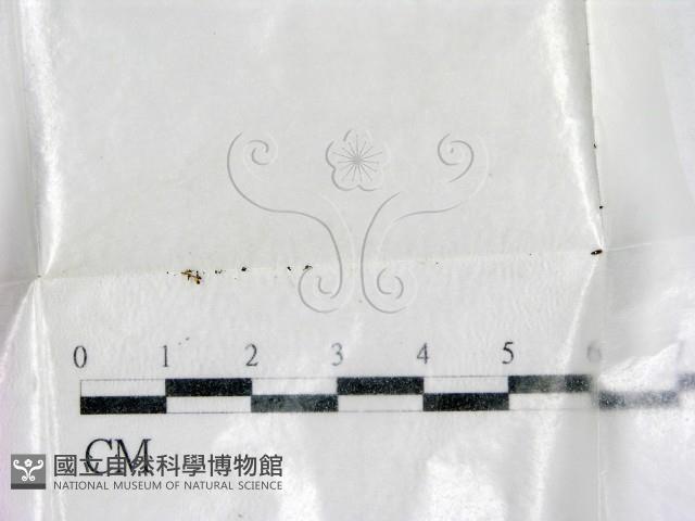 登錄號:F0002773藏品圖，第1張