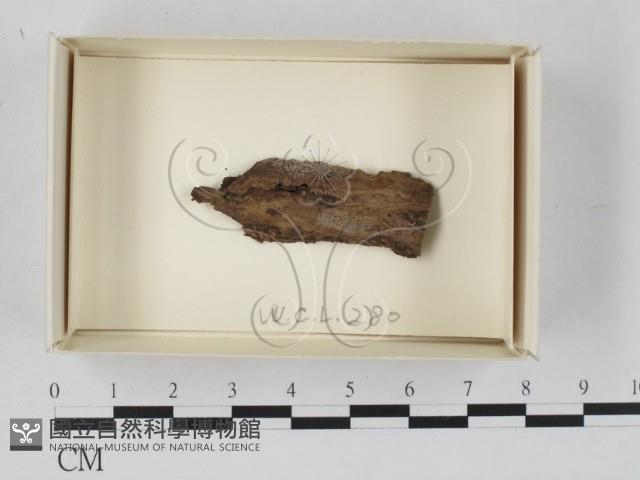 登錄號:F0018573藏品圖，第1張