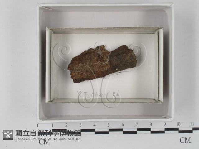登錄號:F0020573藏品圖，第1張