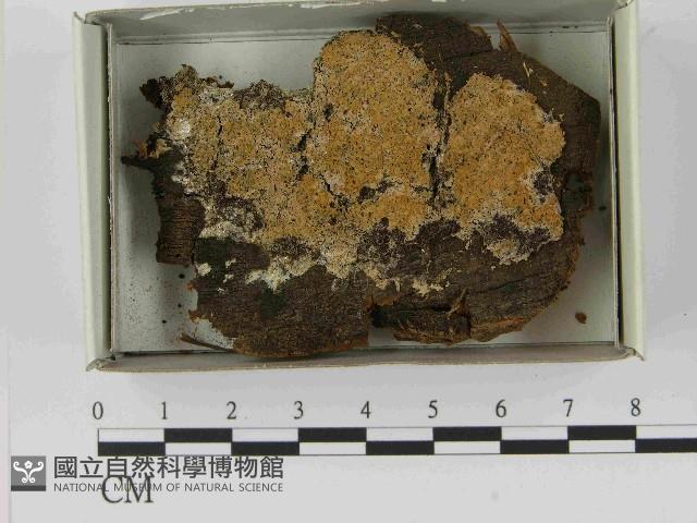登錄號:F0021573藏品圖，第1張