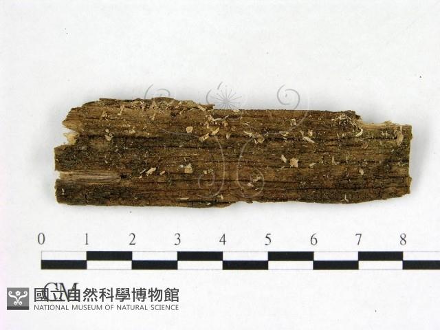 登錄號:F0022573藏品圖，第1張