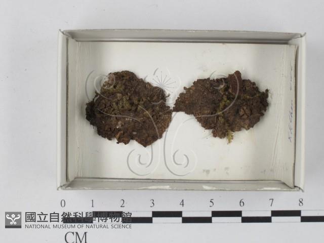 登錄號:F0018173藏品圖，第1張