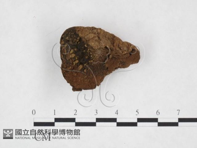 登錄號:F0024073藏品圖，第1張