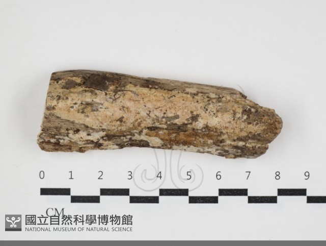 登錄號:F0034073藏品圖，第1張