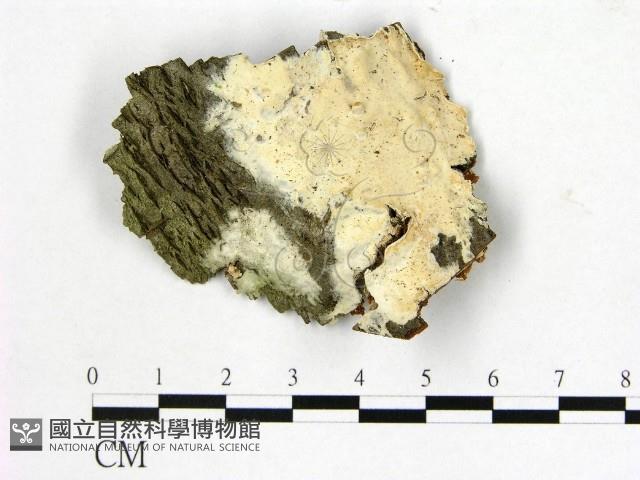 登錄號:F0022073藏品圖，第1張