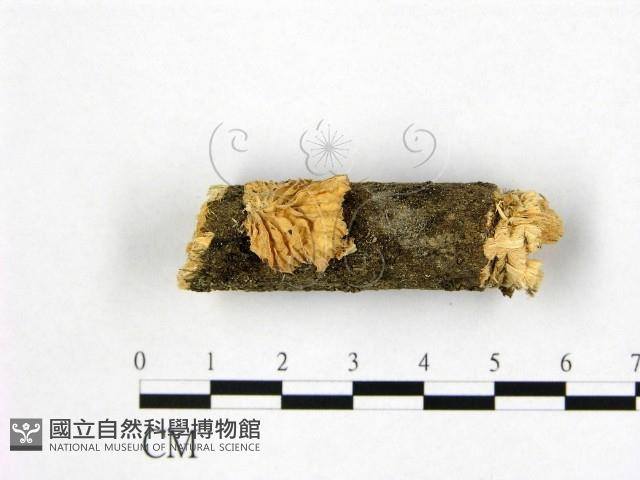 登錄號:F0002073藏品圖，第1張