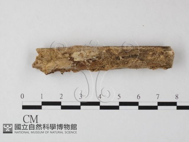 登錄號:F0012073藏品圖，第1張